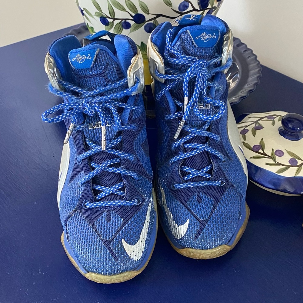 Nike Gnm Prj Lrj.330 Lebron James